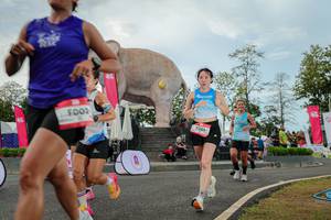 BIB: 
                            <button type="button" onclick="openModal(26528810)" class="btn btn-primary btn-sm float-right btn-popup" data-toggle="modal" data-target=".modal-high-quality">
                        <i class="fas fa-shopping-cart"></i> Add to Cart
                    </button>
                                            <button type="button" onclick="isThisMe(26528810, true)" class="btn btn-success btn-sm float-right btn-popup btn-isme hidden" data-toggle="tooltip" data-placement="bottom" title="นี่คือรูปของคุณใช่ไหม คลิกที่นี่เพื่อเอาเข้าอัลบั้ม">
                        <i class="fas fa-plus"></i> Add to album
                    </button>
                    <button type="button" onclick="isThisMe(26528810, false)" class="btn btn-warning btn-sm float-right btn-popup btn-isnotme hidden">
                        <i class="fas fa-ban"></i> Remove from album
                    </button>